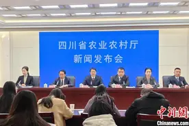 四川深化“天府粮仓·百县千片”建设 推动2025年粮食单产再增3公斤图片