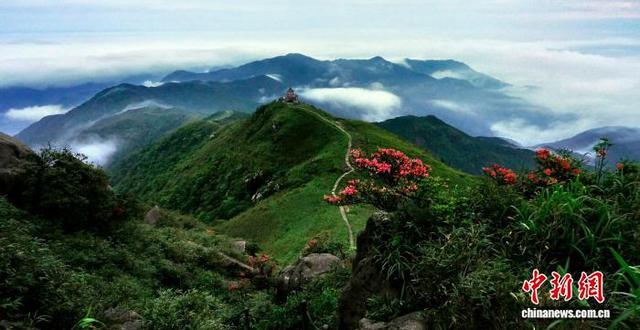 广西贺州姑婆山“生态蝶变” “点绿成金”年迎客逾149万