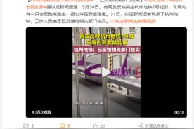 杭州地铁7号线车厢出现老鼠？官方：确有发现，已清除图片