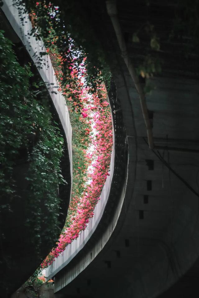 在丰泽，抬头撞见的美好......