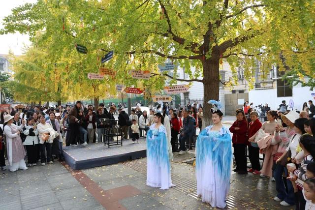 【趣游古城】秋日限定，在荆州邂逅一场“杏”运！