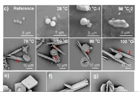 长期自己烧水喝和买桶装水喝，哪种更健康？图片