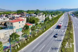 同心提质·洲颜焕新｜洲心街道以“主干道风貌提升”撬动全域风貌蝶变图片