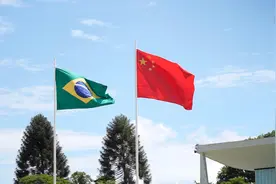 第一观察·现场｜从北京到巴西利亚 两首歌曲见证中巴深情厚谊图片