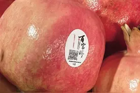 因成熟期晚被“冒名”销售 专家提醒： 正宗临潼石榴上市要等秋分后图片