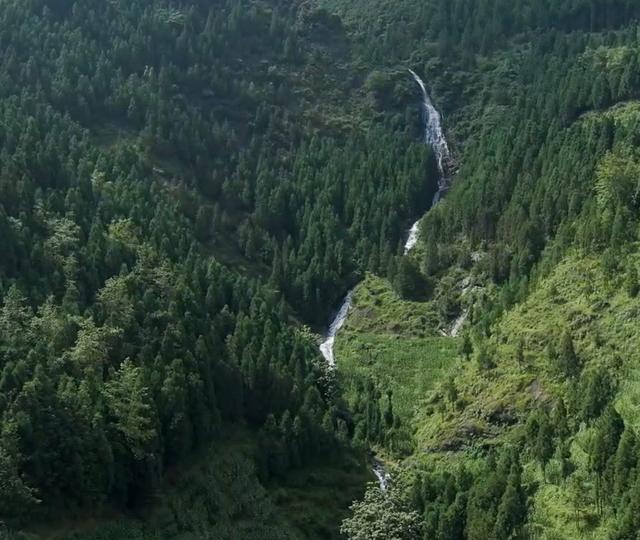 大山藏飞瀑
