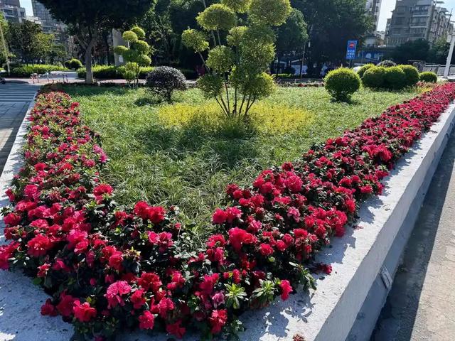 冬｜把时光染成斑斓诗行～