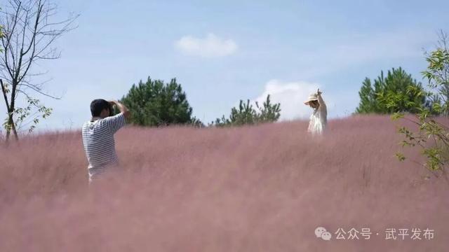 世界骑行日| 奔赴福建，一 “骑” 赏秋