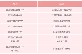 连续三天！汉阳这些路段实施交通管制图片