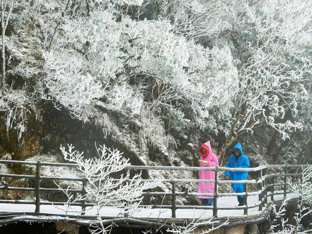 羊狮慕雪国仙境已上线｜大雪持续中，快来福山赏雪！