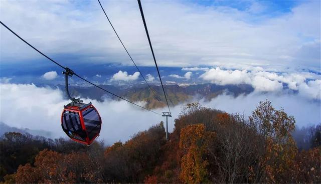 秋景大片都没看，洛阳的秋天，这就结束了？
