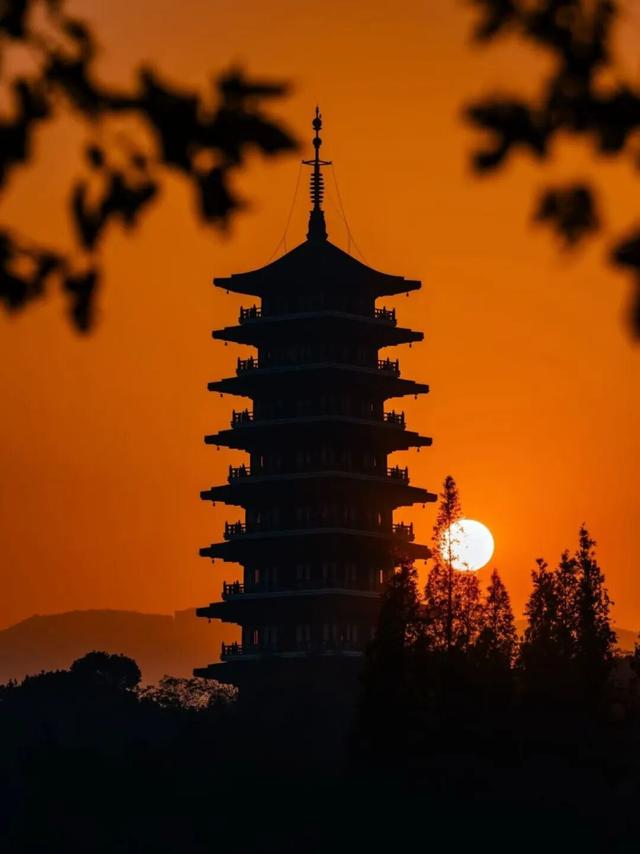 藏不住了！看一眼就“沦陷”！