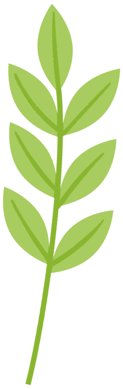 乘着高铁游白山 | “百区百景”打卡攻略之白山市四季冰雪旅游乐园