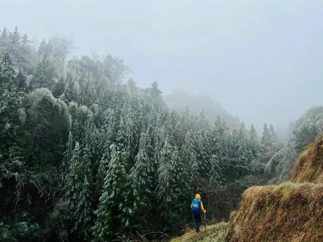 多地下雪！广西限定版“冰雪世界”已上线