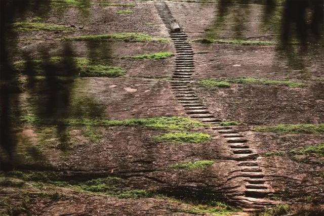 厚植生态本底赋能康养之廊——万源全力打造生态文旅新标杆