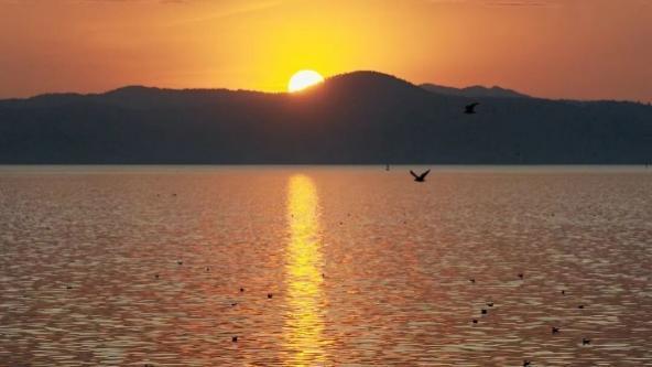 绝了！一汪清水引鱼回，美到出圈还能赚钱丨只此青绿 江山答卷