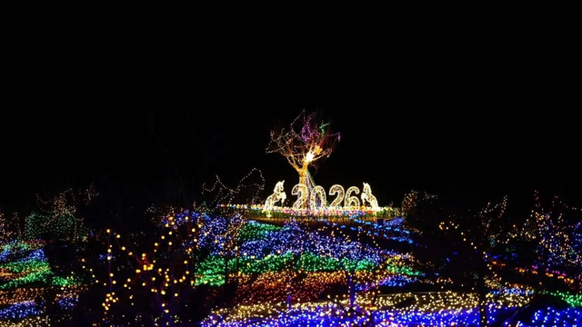 平谷井峪林下寻光 让我们赴一场生态与温情的双向奔赴