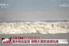 钱塘潮最佳观赏期有多震撼？“空中+地面”视角带你追波逐浪→图片