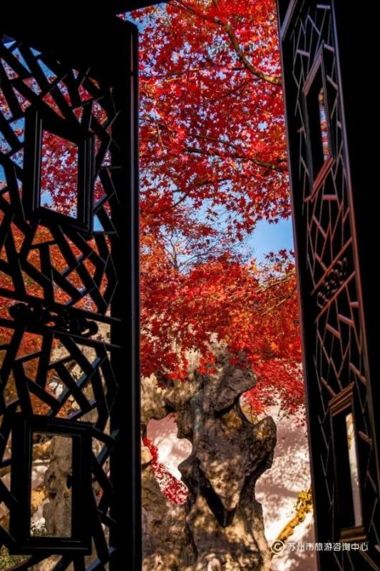 火上央视！苏州变身“黄金州”