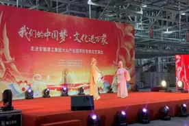 过年在合肥，有你好看的图片