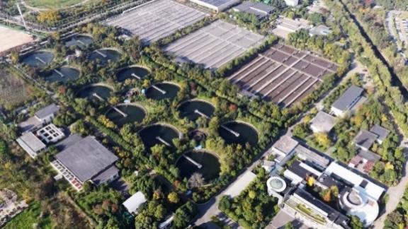 绝了！一汪清水引鱼回，美到出圈还能赚钱丨只此青绿 江山答卷