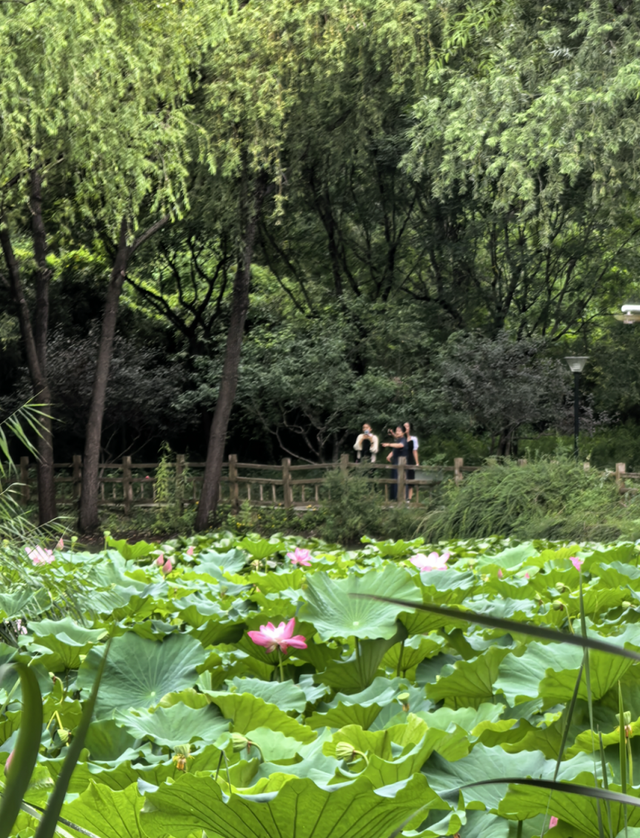 亦城寻秋：那些藏在光影与烟火里的→