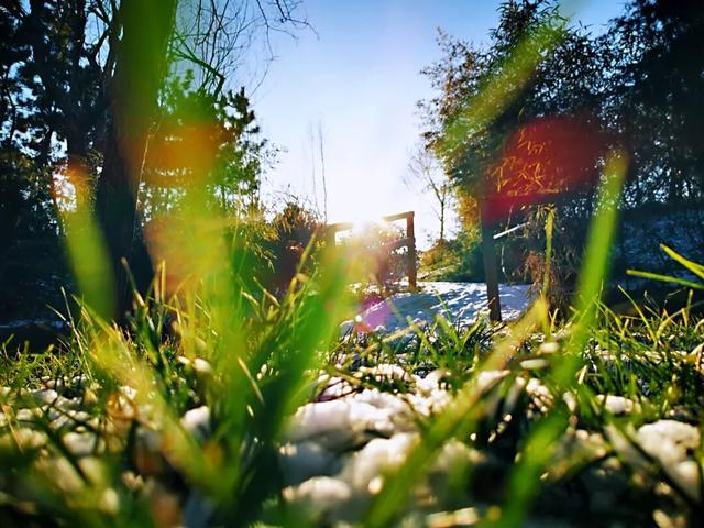 收藏！市北初雪限定美景，看完想立刻出门