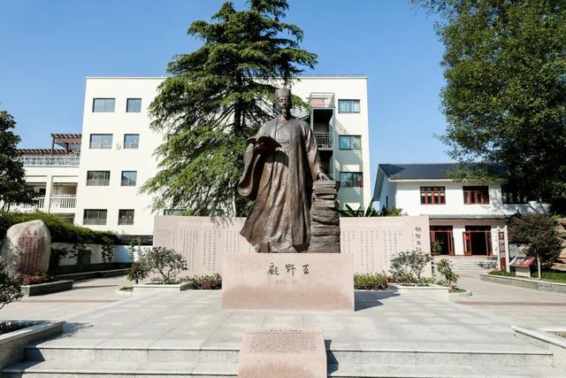 看直播，带“亭林小顾”回家