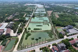 荆州区紫荆片区山水工程 为长湖水源地保护筑牢生态屏障图片