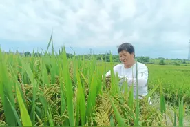 丈夫去世留160万元债，武汉大姐一个选择，逆风翻盘！图片
