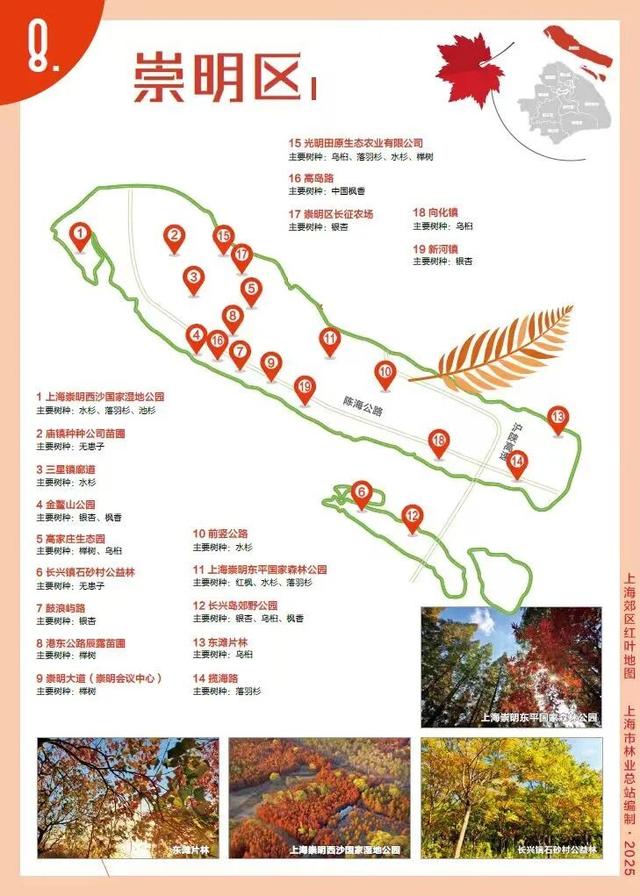 红叶地图出炉，闵行限定秋景就在→