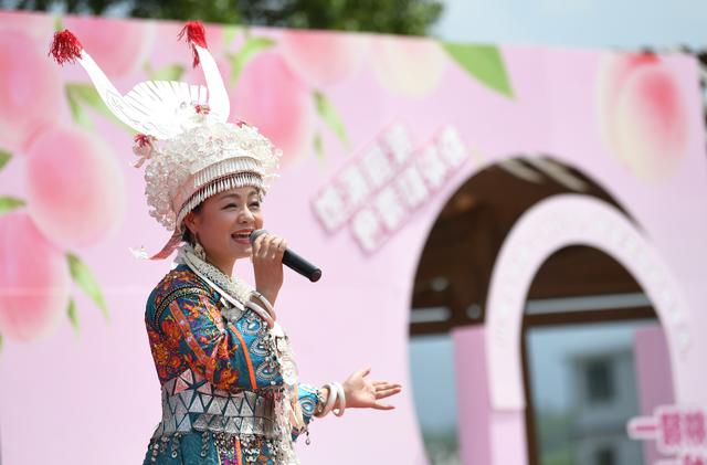 阿幼朵倾情推荐！南明区永乐乡2025年艳红桃采摘季启幕