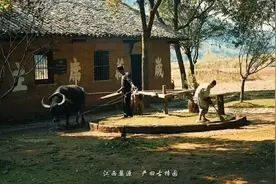 乡村新体验：严田景区古法榨油坊，千年传承技艺等你打卡！图片
