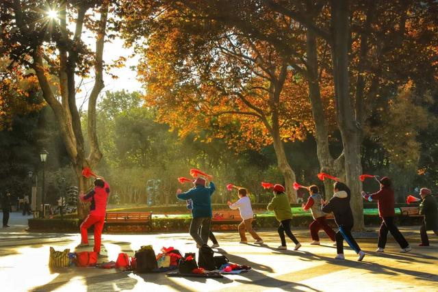 长宁的秋叶，红得醉人……