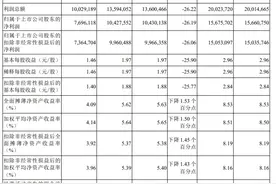 V观财报｜海螺水泥2024年净利同比降26% 披露估值提升计划图片