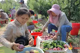 李子种出甜蜜生活图片