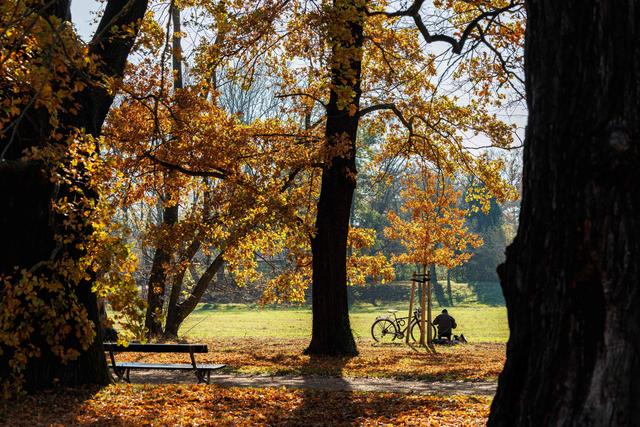 （外代一线）秋日欧洲