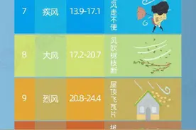 北方多地将出现强风 如何防御避免“风险”？图片
