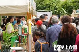 康旅集团工会联合严家地社区党委举办端午惠民市集活动图片