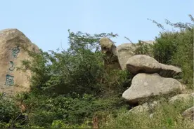 舟山有意思丨舟山竟藏着这些“蛇”，肯定有你知道的！图片