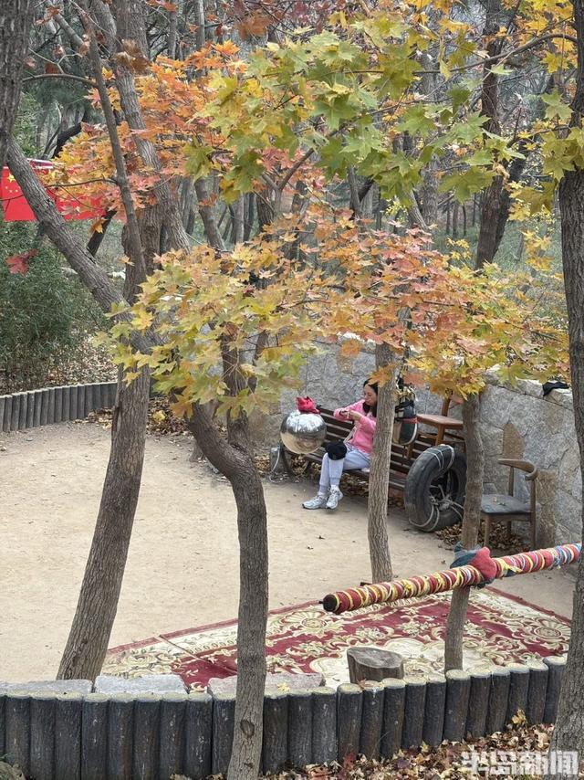 浮山初冬：暖阳里的慢时光！