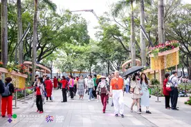 人潮涌动赏诗意繁花！2024粤港澳大湾区花展不容错过图片