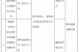 中国大地财产保险黑河中心支公司被罚５万元：给予投保人、被保险人保险合同约定以外的利益图片