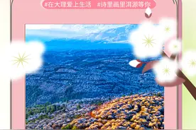 花开四季 “香”约云南丨来大理洱源，遇见“梅”好！图片