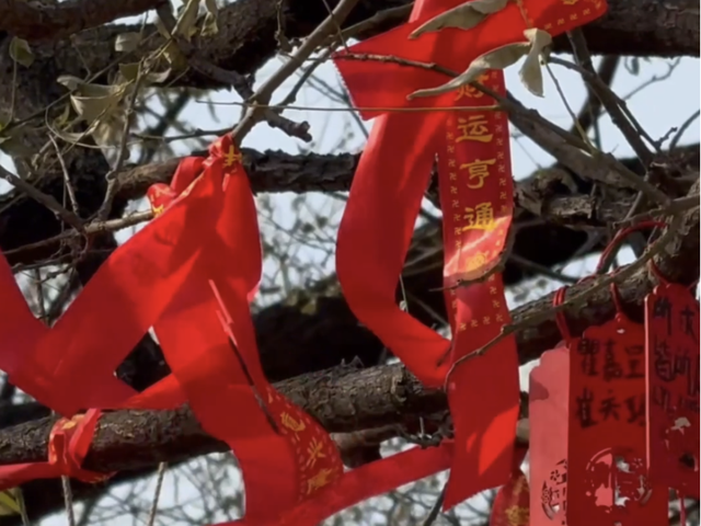 尝鲜儿｜“爨”味体验记：走进500年古村院落