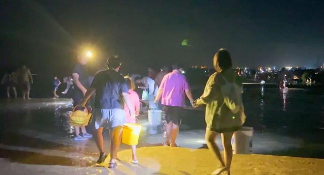 南海新区：夏夜清凉好去处 赶海烧烤舞不停