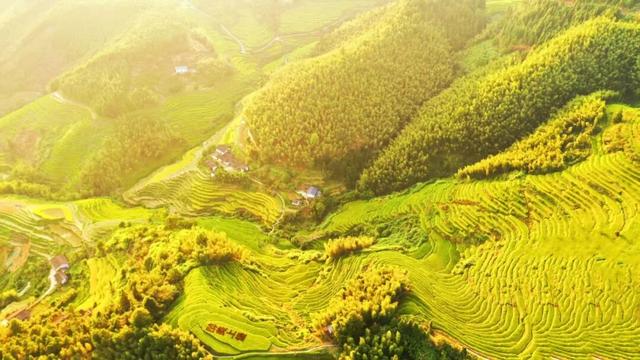 明日开播！云端探“堡”·上堡有请，“赣潮C位战”百县直播崇义首秀来袭