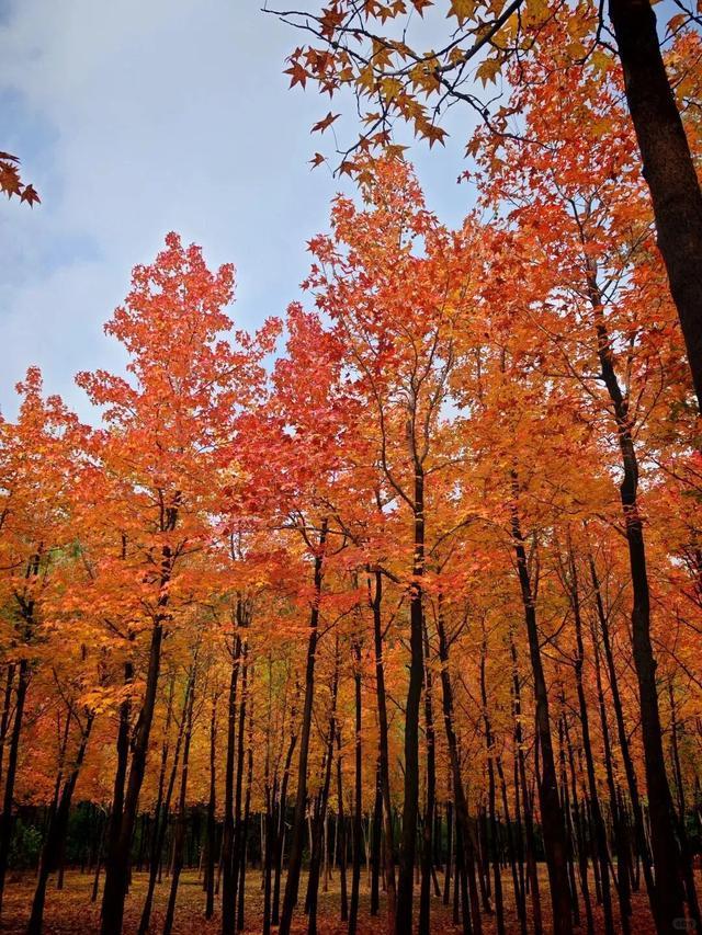 听说周末的石门坊挤爆了？哎，我有一计！