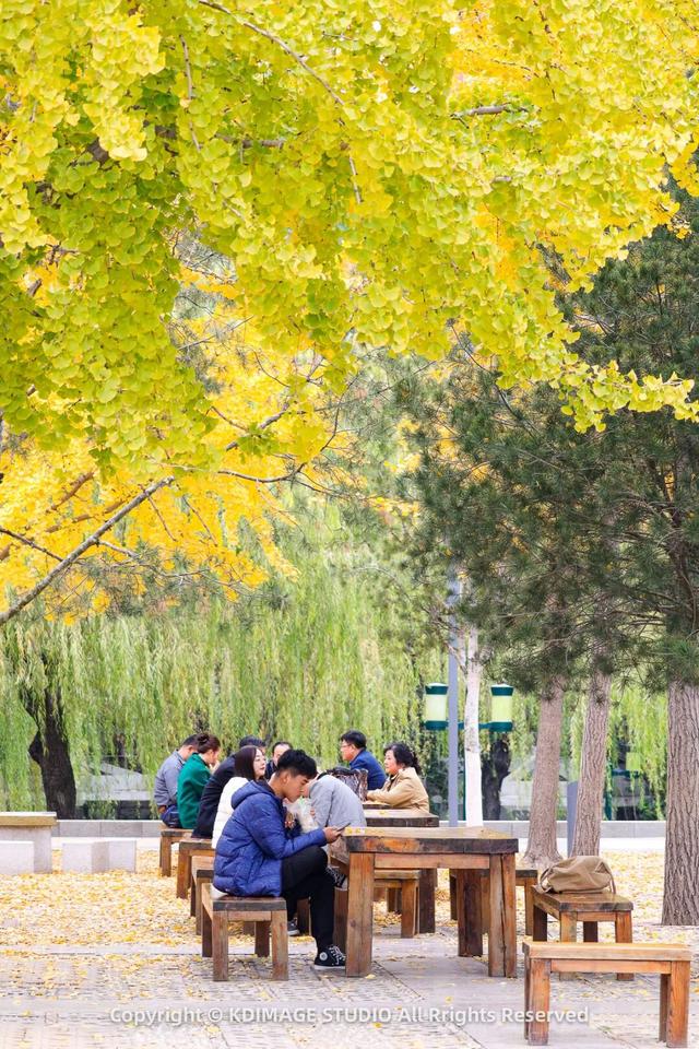 趵突泉涌玉龙，青石板映唐宋灯火，济南版“江南”在此