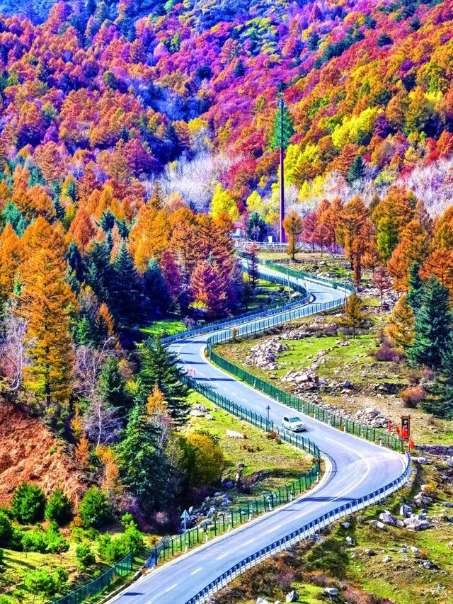 看！太原的秋天，绝美！